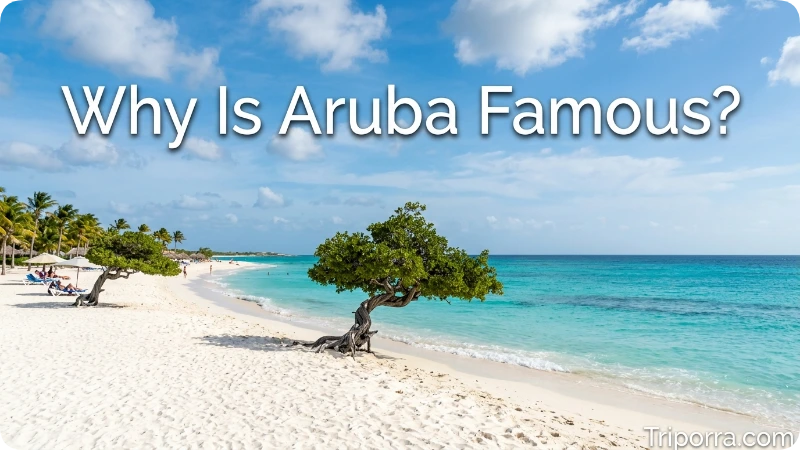 Why Is Aruba Famous?