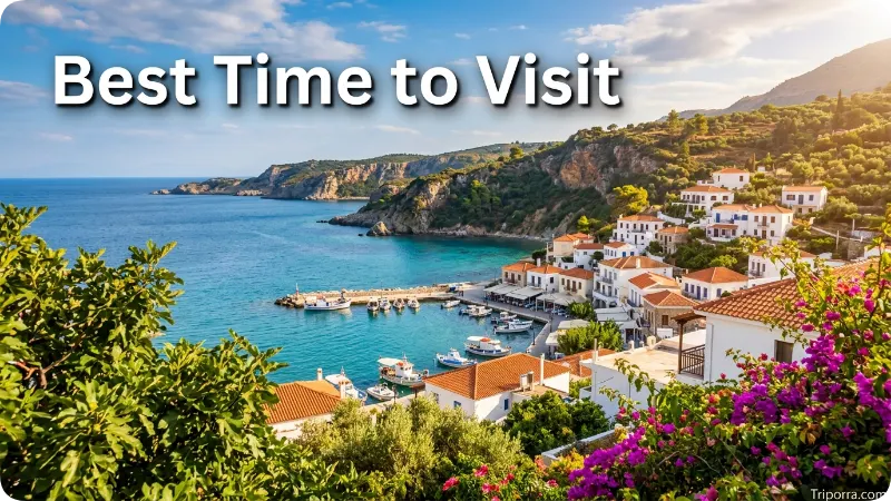 Best Time to Visit