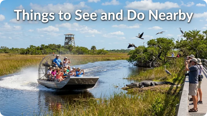 Things to See and Do Nearby