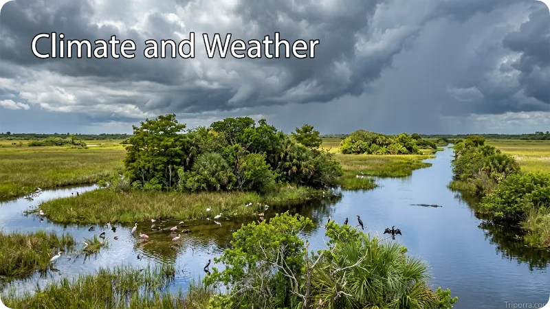 Climate and Weather