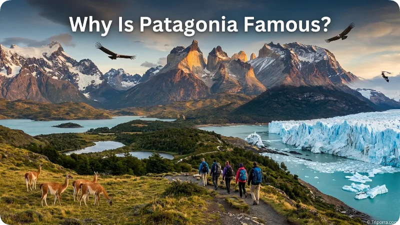 Why Is Patagonia Famous?