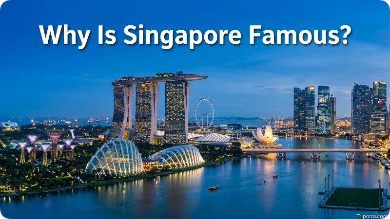 Why Is Singapore Famous?