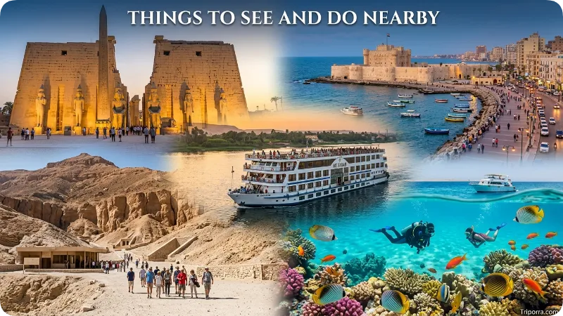 Things to See and Do Nearby
