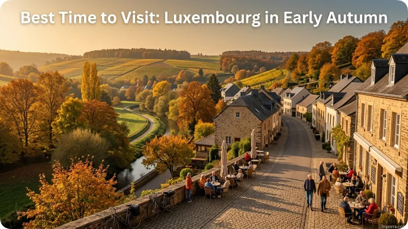 Best Time to Visit