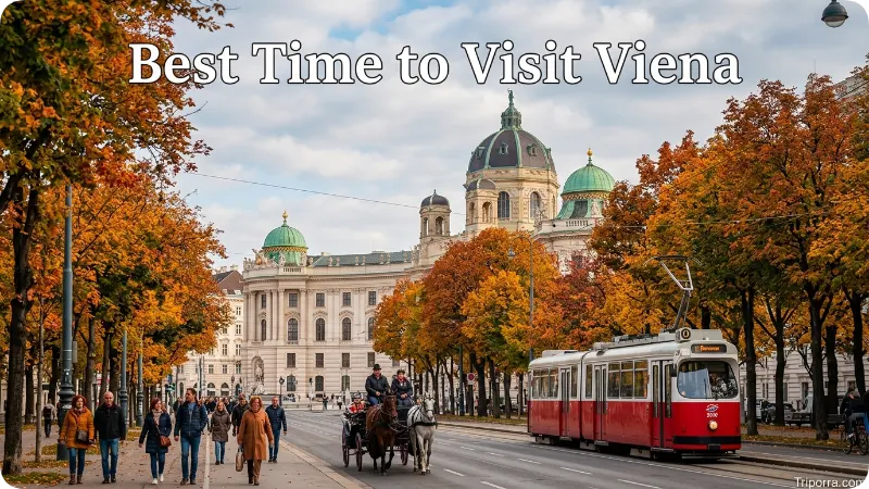 Best Time to Visit