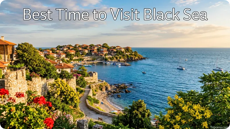 Best Time to Visit