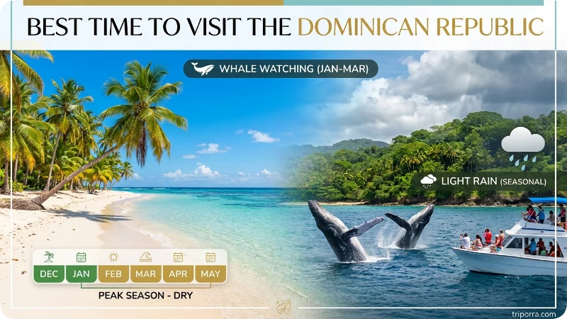 Best Time to Visit