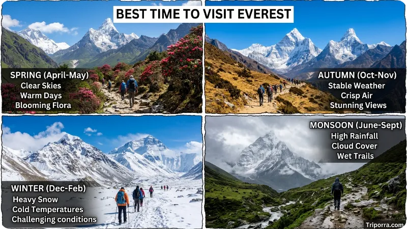 Best Time to Visit