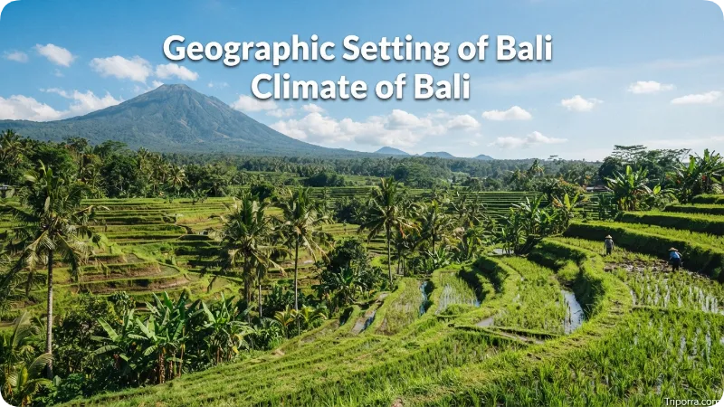 Climate of Bali