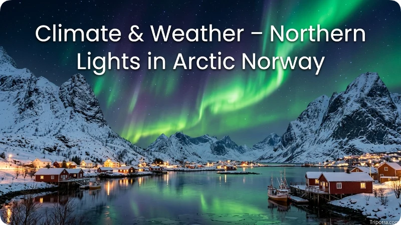 Climate & Weather