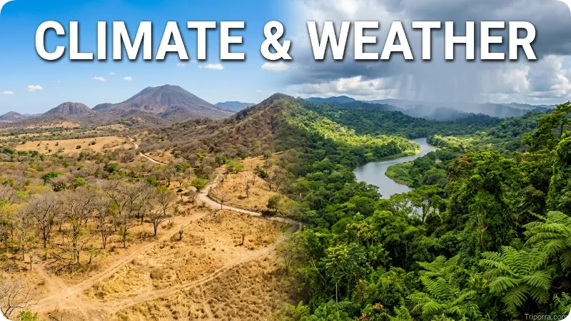 Climate & Weather