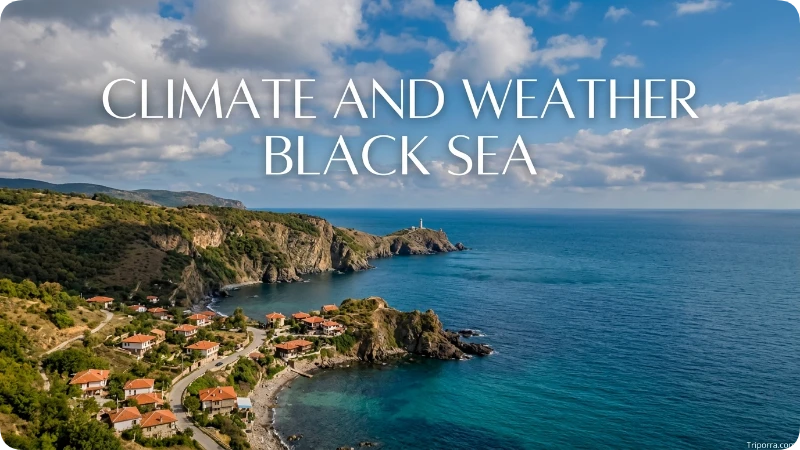 Climate and Weather