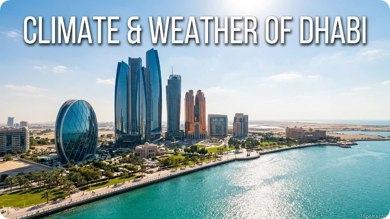 climate weather 