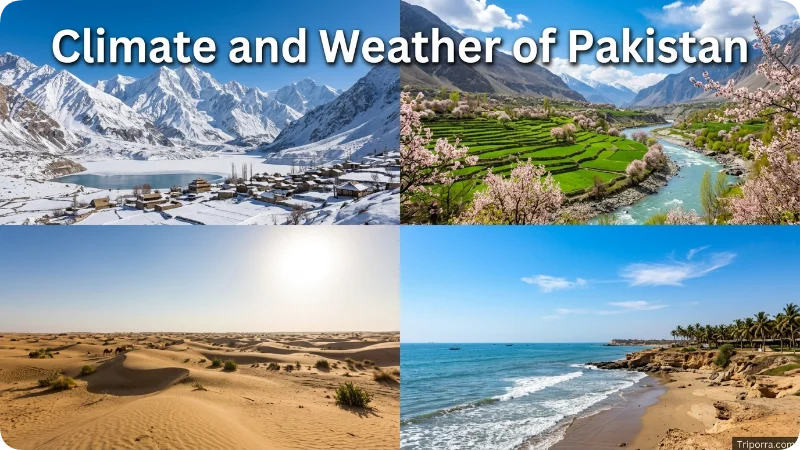 Climate and Weather