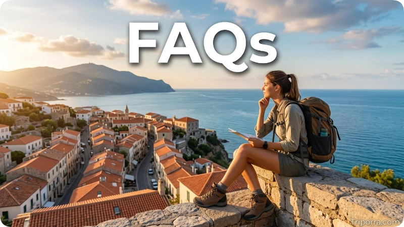 FAQs