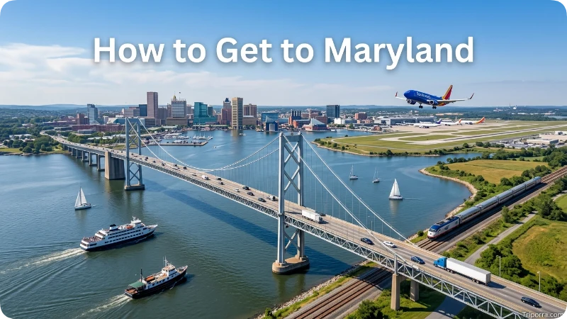 How to Get to Maryland