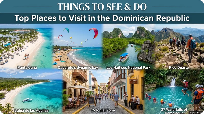 Things to See & Do