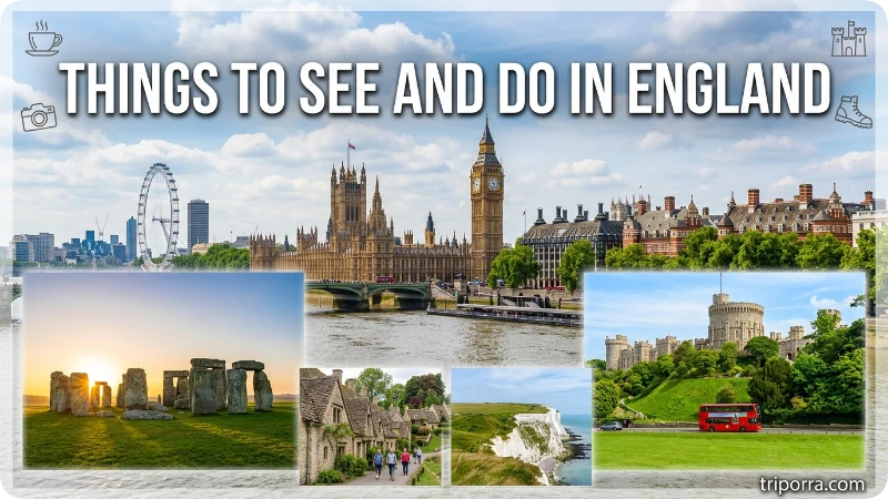 Things to See & Do
