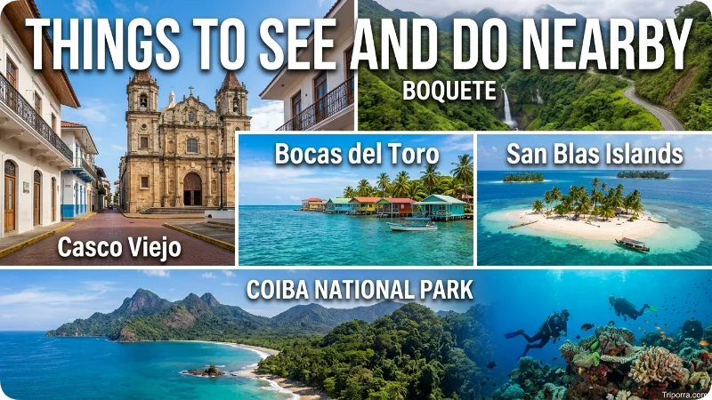 Things to See and Do Nearby