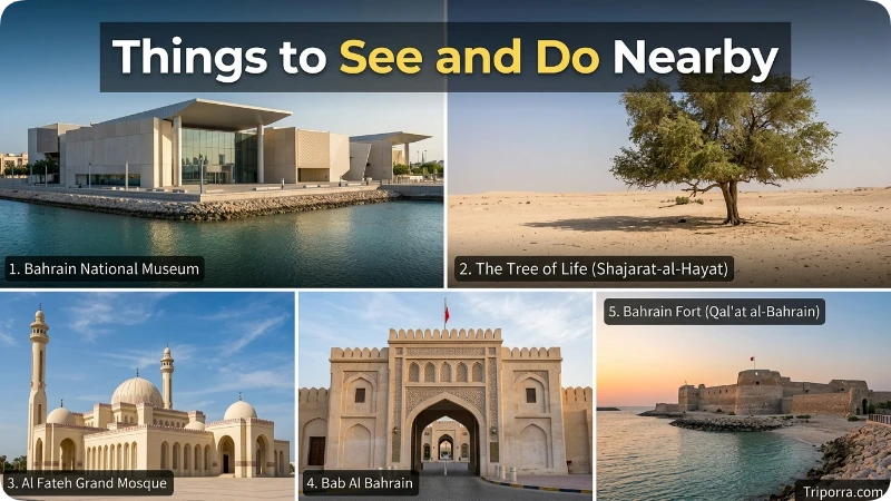 Things to See and Do Nearby