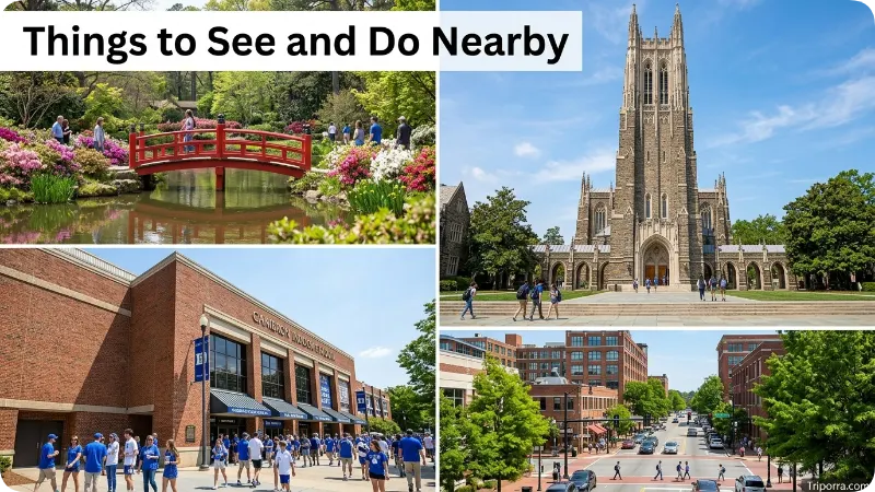 Things to See and Do Nearby