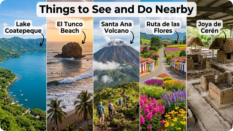 Things to See and Do Nearby