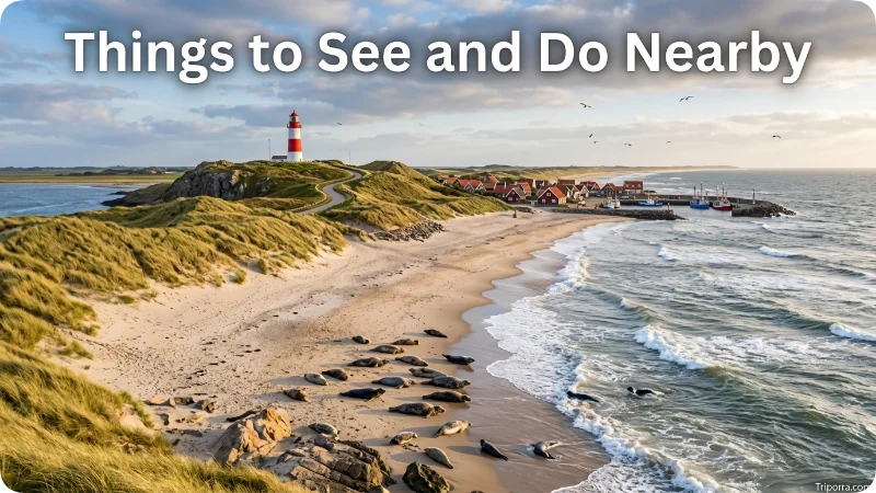 Things to See and Do Nearby