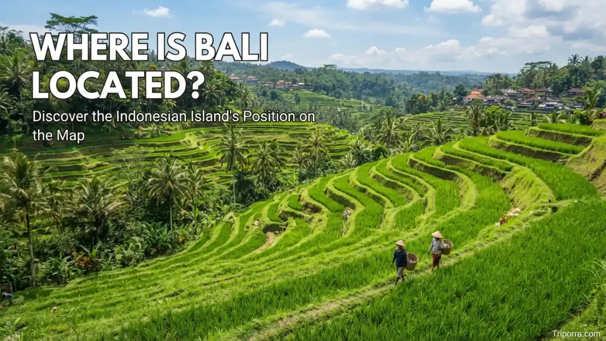 where is bali located
