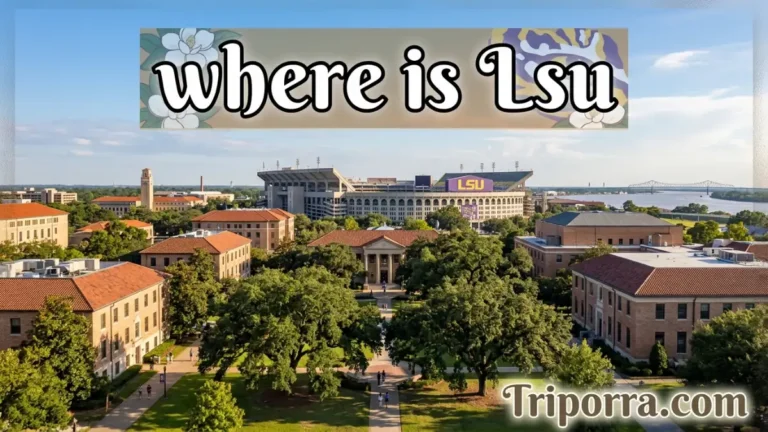 where is lsu