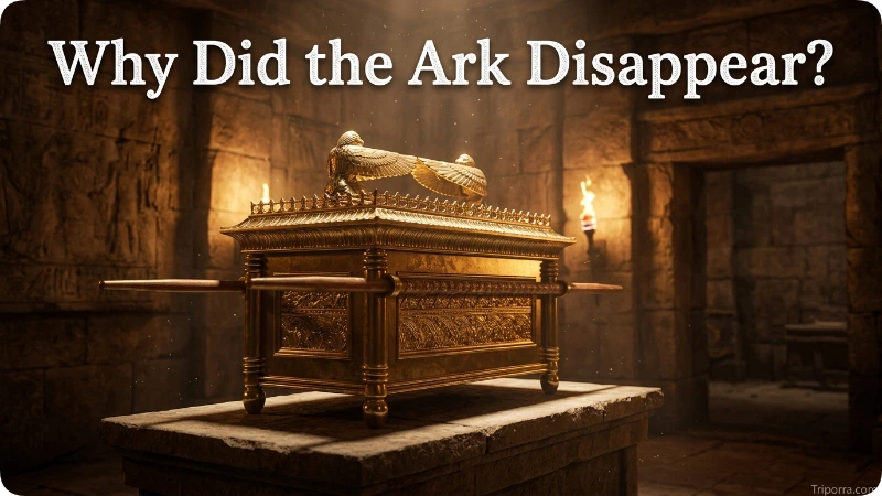 Why Did the Ark Disappear?