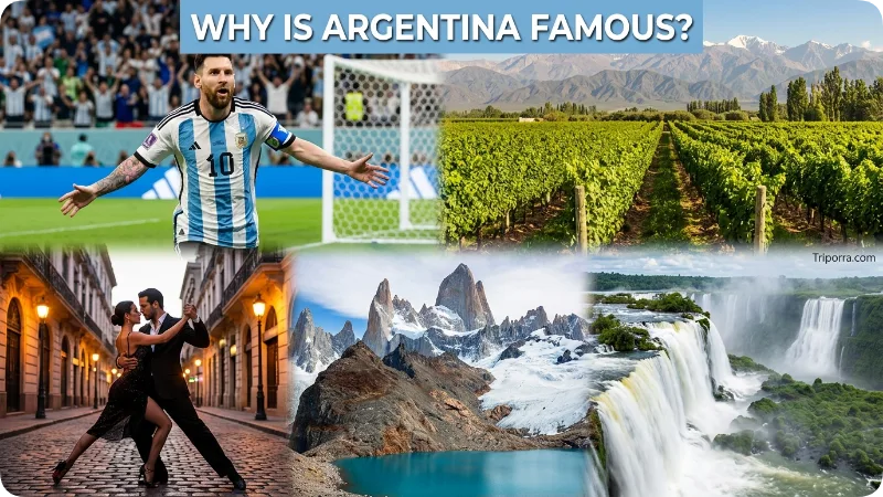 Why Is Argentina Famous?