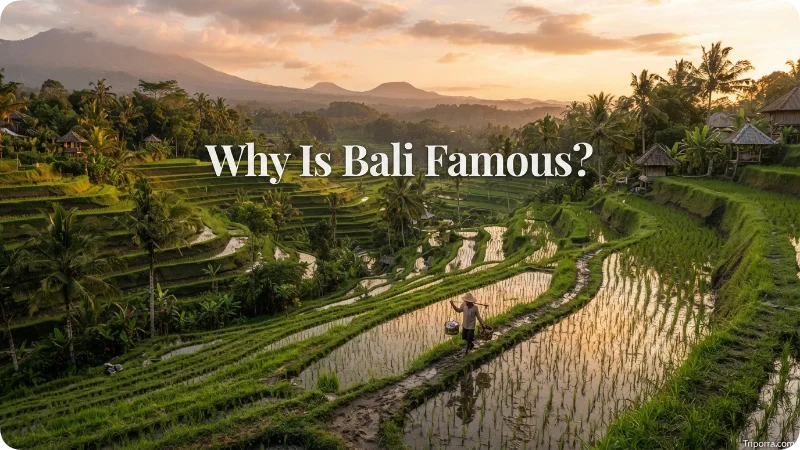 Why Is Bali Famous?