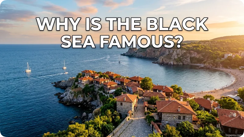 Why Is the Black Sea Famous?