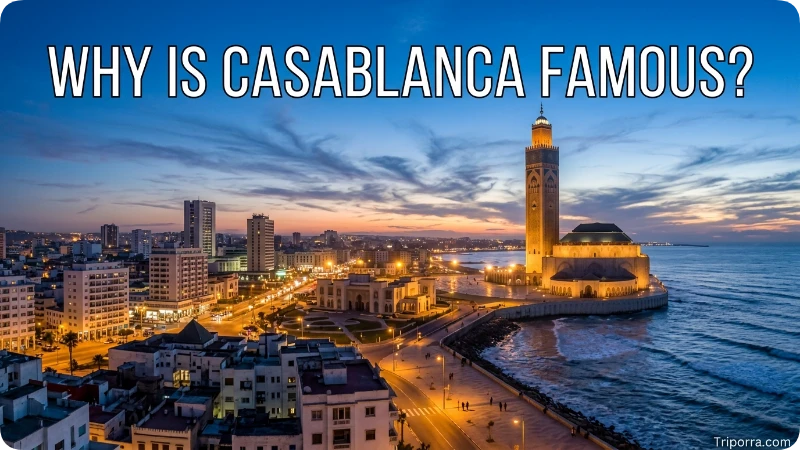 Why Is Casablanca Famous?