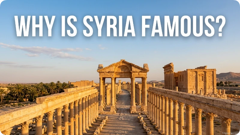 Why Is Syria Famous?