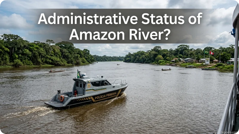 Administrative Status