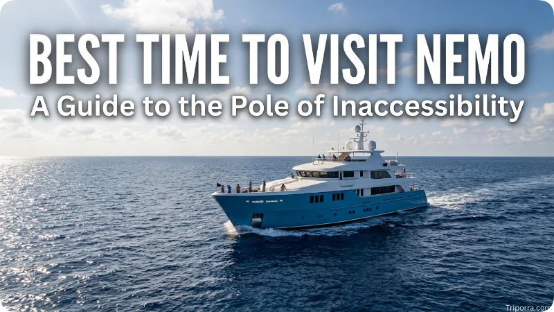 Best Time to Visit
