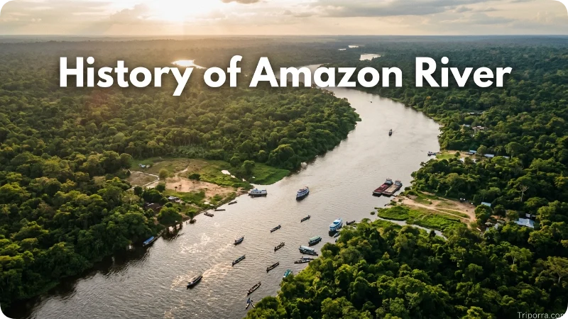 History of Amazon
