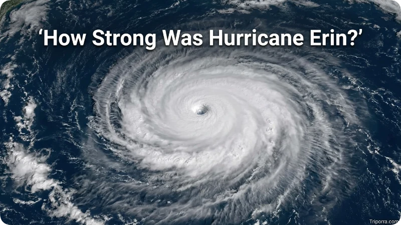 How Strong Was Hurricane Erin?