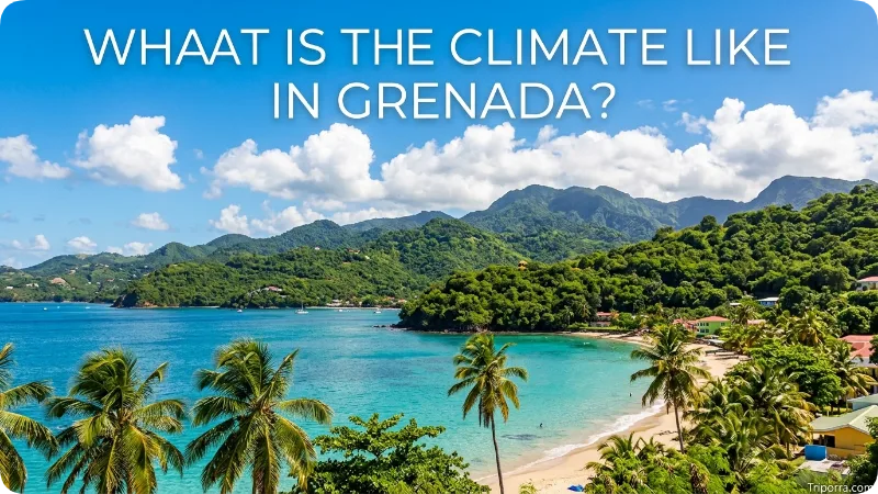 What Is the Climate Like in Grenada?