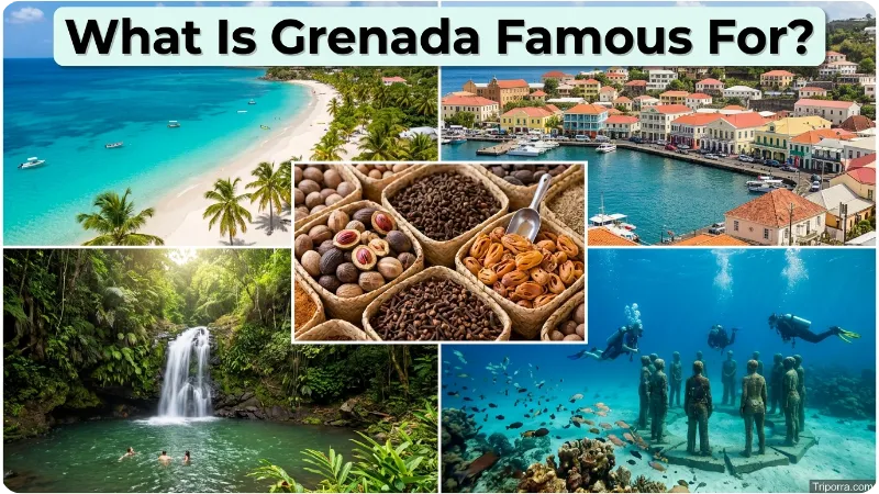 What Is Grenada Famous For?