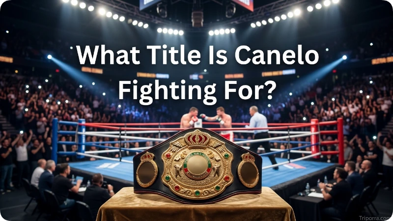 What Title Is Canelo Fighting For?