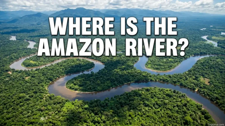 Where Is the Amazon River