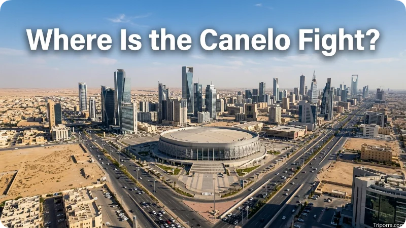 Where Is the Canelo Fight?