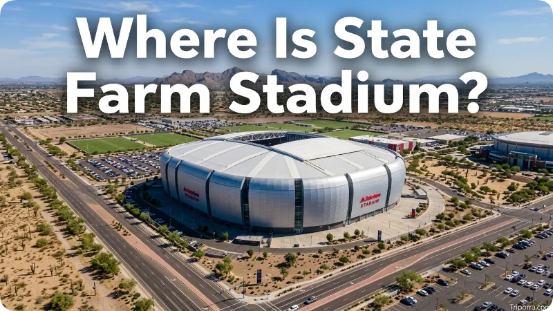 Where Is State Farm Stadium?