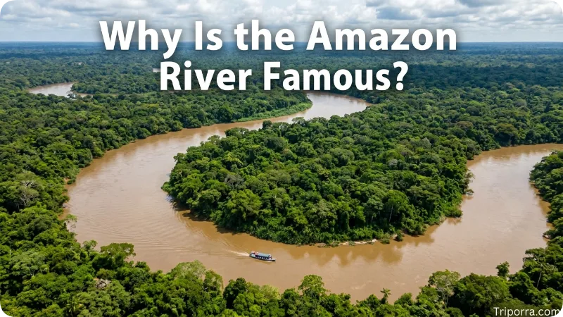 Why Is the Amazon River Famous?