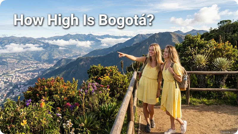 How High Is Bogotá?
