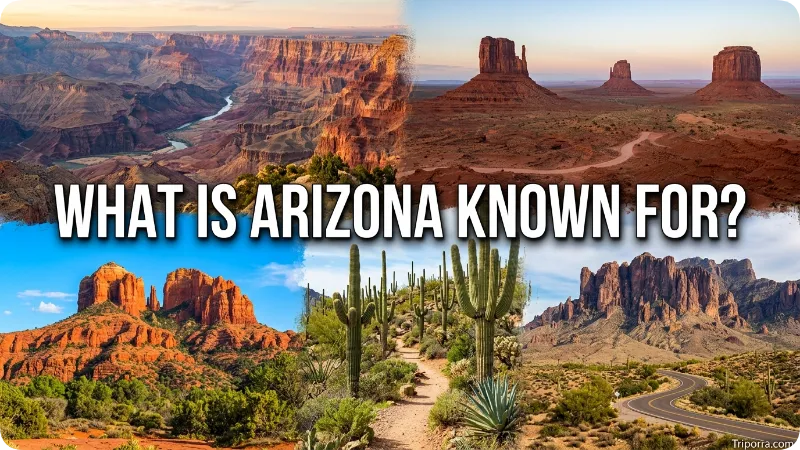 What Is Arizona Known For?