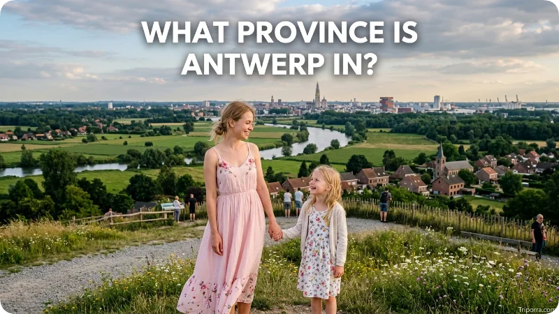 What Province Is Antwerp In?