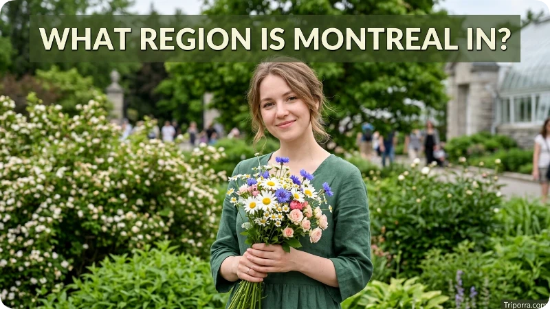 What Region Is Montreal In?